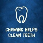 Purina Busy Bone Peanut Butter Chews for Dogs