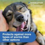 Interceptor Plus Heartworm & Worm Prevention Chews 6 Count