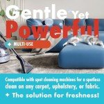 Dirtbusters Dog Spot Cleaner for Carpets (1L)