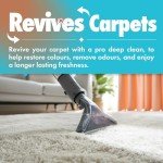 Dirtbusters Dog Spot Cleaner for Carpets (1L)