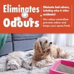 Dirtbusters Dog Spot Cleaner for Carpets (1L)