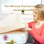 Memory Foam Dog Bed & Cushion Insert - 45x50cm