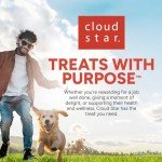 Buddy Biscuits Bacon Soft & Chewy Dog Treats