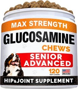 Glucosamine Chondroitin Joint Chews for Dogs