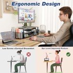 OPNICE Desk Organizer and Accessories, 2-Tier Computer Monitor Stand with Drawer and 2 Pen Holders, Office Desk Accessories for Office Supplies, Black