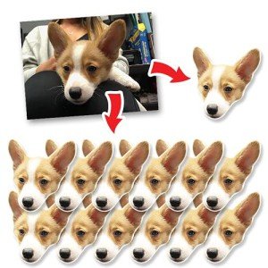 Upload Your Own Photo Custom Stickers - 15 Pieces Customized Cat, Dog, Pet Decals for Laptop, Tumbler, Car, Notebook, Window, Journal