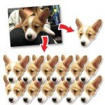 Upload Your Own Photo Custom Stickers - 15 Pieces Customized Cat, Dog, Pet Decals for Laptop, Tumbler, Car, Notebook, Window, Journal