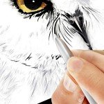 Samsung Chromebook Plus V2 2-in-1 Laptop- 4GB RAM, 64GB eMMC, 13MP Camera, Chrome OS, 12.2", 16:10 Aspect Ratio- XE520QAB-K03US Light Titan