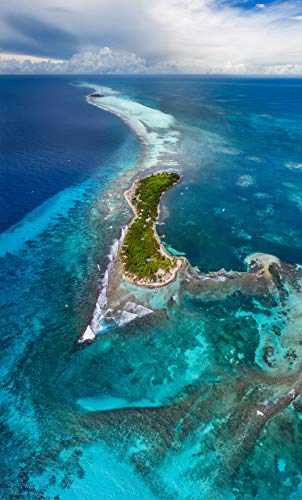 Tiffen Filters for Compact DJI Mavic 2 Pro Drone Including Neutral Density/Polarizer Kit, (MAV2PRO6KIT) 6 Filters, Black