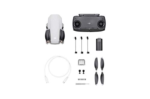 DJI Mavic Mini Starter Bundle - Drone FlyCam Quadcopter UAV with 2.7K Camera 3-Axis Gimbal GPS 30min Flight Time, Less Than 0.55lbs, Gray