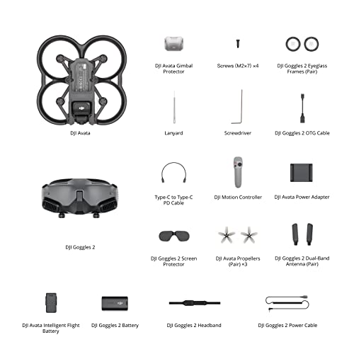DJI Avata Pro-View Combo (DJI Goggles 2) - First-Person View Drone UAV Quadcopter with 4K Stabilized Video, Super-Wide 155Â° FOV, Built-in Propeller Guard, HD Low-Latency Transmission