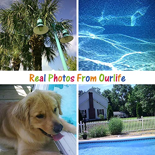 Ourlife Kids Camera, Selfie Waterproof Action Child Gift Cameras,1080P 8MP 2.4 Inch Large Screen with 8GB TF Card for Children Toddler of Age 3,4,5,6+, Silicone Handle, Fill Light(Pink)