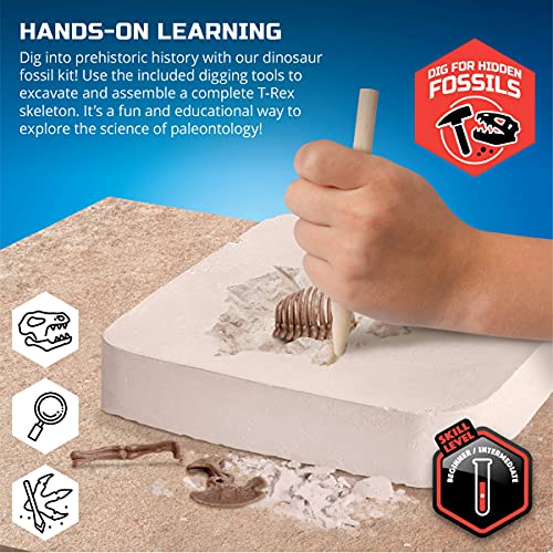 Discovery #MINDBLOWN 15 Piece Dinosaur 3D Fossil Dig Excavation Kit, T-Rex Skeleton Puzzle, Dig for Bones with Included Tools