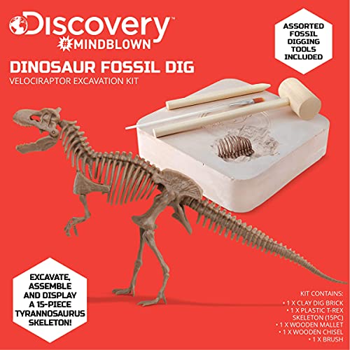 Discovery #MINDBLOWN 15 Piece Dinosaur 3D Fossil Dig Excavation Kit, T-Rex Skeleton Puzzle, Dig for Bones with Included Tools