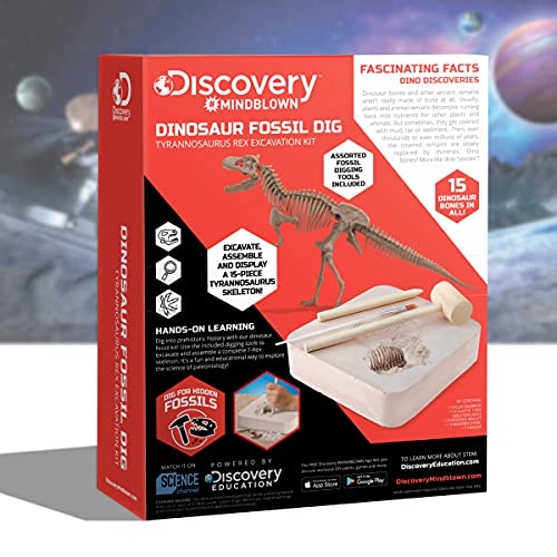 Discovery #MINDBLOWN 15 Piece Dinosaur 3D Fossil Dig Excavation Kit, T-Rex Skeleton Puzzle, Dig for Bones with Included Tools