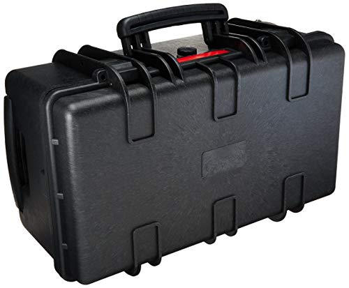AmazonBasics Large Hard Rolling Camera Case - 22 x 14 x 9 Inches, Black
