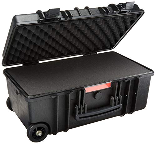 AmazonBasics Large Hard Rolling Camera Case - 22 x 14 x 9 Inches, Black
