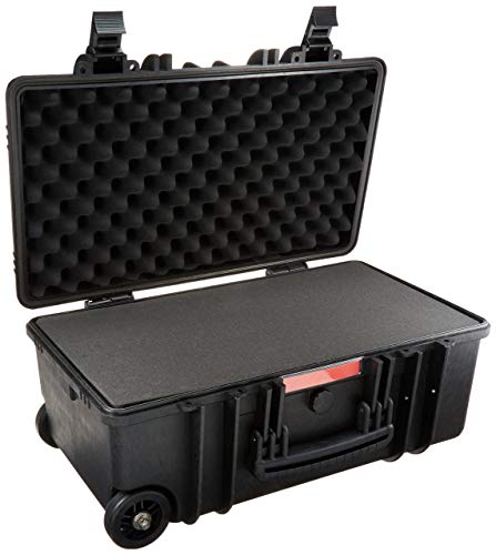 AmazonBasics Large Hard Rolling Camera Case - 22 x 14 x 9 Inches, Black