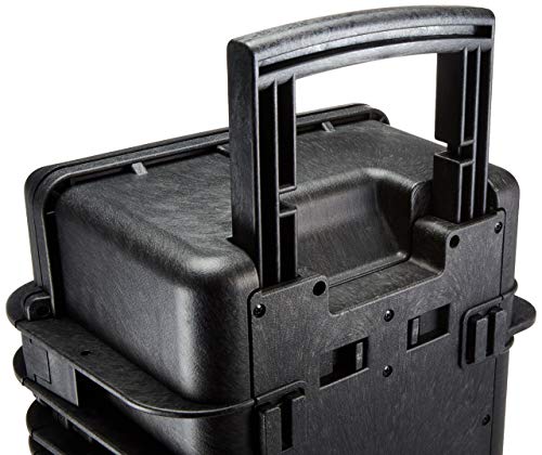 AmazonBasics Large Hard Rolling Camera Case - 22 x 14 x 9 Inches, Black