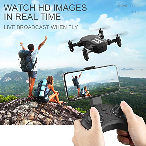 GoolRC Mini Drone for Kids and Adults, LS-MIN RC Quadcopter with 1080P Camera, 360° Flip, Gesture Photo/Video, Track Flight, Altitude Hold, Headless Mode, Include Carry Bag and 3 Batteries (Black)