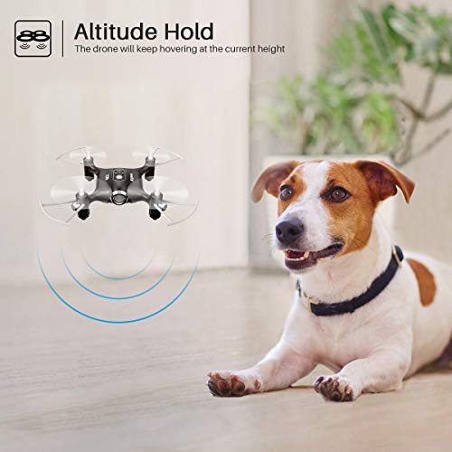 SYMA X20-Black 2.4 GHz Mini Micro RC Drone, Black