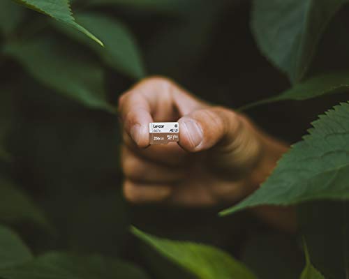 Lexar Professional 667X 128GB MicroSDXC UHS-I/U3 Card (LSDMI128BNA667A)