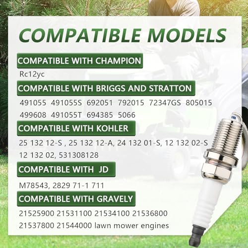 RC12YC Spark Plugs for Lawn Mower Engines