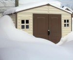 Duramax WoodSide 10x8 Plastic Garden Shed