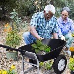 2-Wheel Heavy Duty Garden Wheelbarrow with Pneumatic Tires