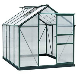 Outsunny 6x8ft Polycarbonate Greenhouse - Walk-In Design