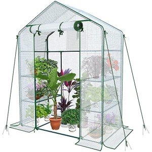 VOUNOT Walk-In Greenhouse with Roll-Up Door