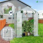 VOUNOT Walk-In Greenhouse with Roll-Up Door