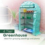 4-Tier Wide Greenhouse with Roll-Up Door