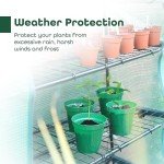 4-Tier Wide Greenhouse with Roll-Up Door