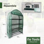 4-Tier Wide Greenhouse with Roll-Up Door
