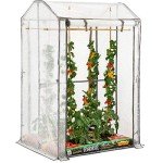 Tomato Greenhouse with Reinforced Cover & Frame