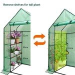 Walk-In Greenhouse with 6 Shelves and Cover