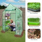 Walk-In Greenhouse with 6 Shelves and Cover