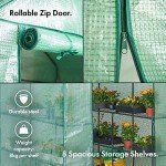 VonHaus Walk-In Greenhouse with 8 Shelves