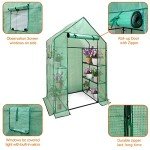 Walk-In Greenhouse with 6 Shelves and Cover