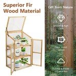 GiantexUK Mini Wooden Greenhouse with Skylight