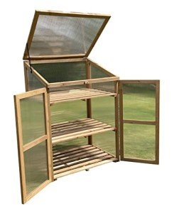 Wooden Frame Mini Polycarbonate Growhouse