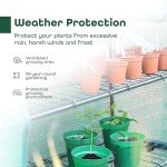 DIVCHI 2-Tier Heavy Duty Mini Greenhouse