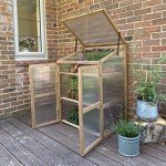 Wooden Frame Mini Polycarbonate Growhouse