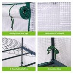 Bramble 4-Tier Compact Greenhouse for Small Gardens