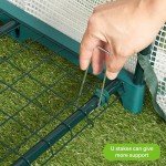 Bramble 4-Tier Compact Greenhouse for Small Gardens