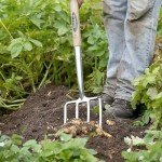 Spear & Jackson Stainless Steel Digging Fork
