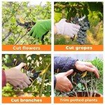 JiveSnip Titanium Bypass Pruning Shears for Gardens