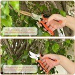 11-Piece Heavy-Duty Garden Tool Set