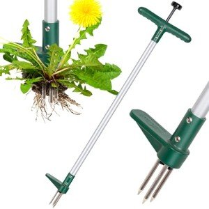 Walensee Stand-Up Weed Puller with 3 Claws